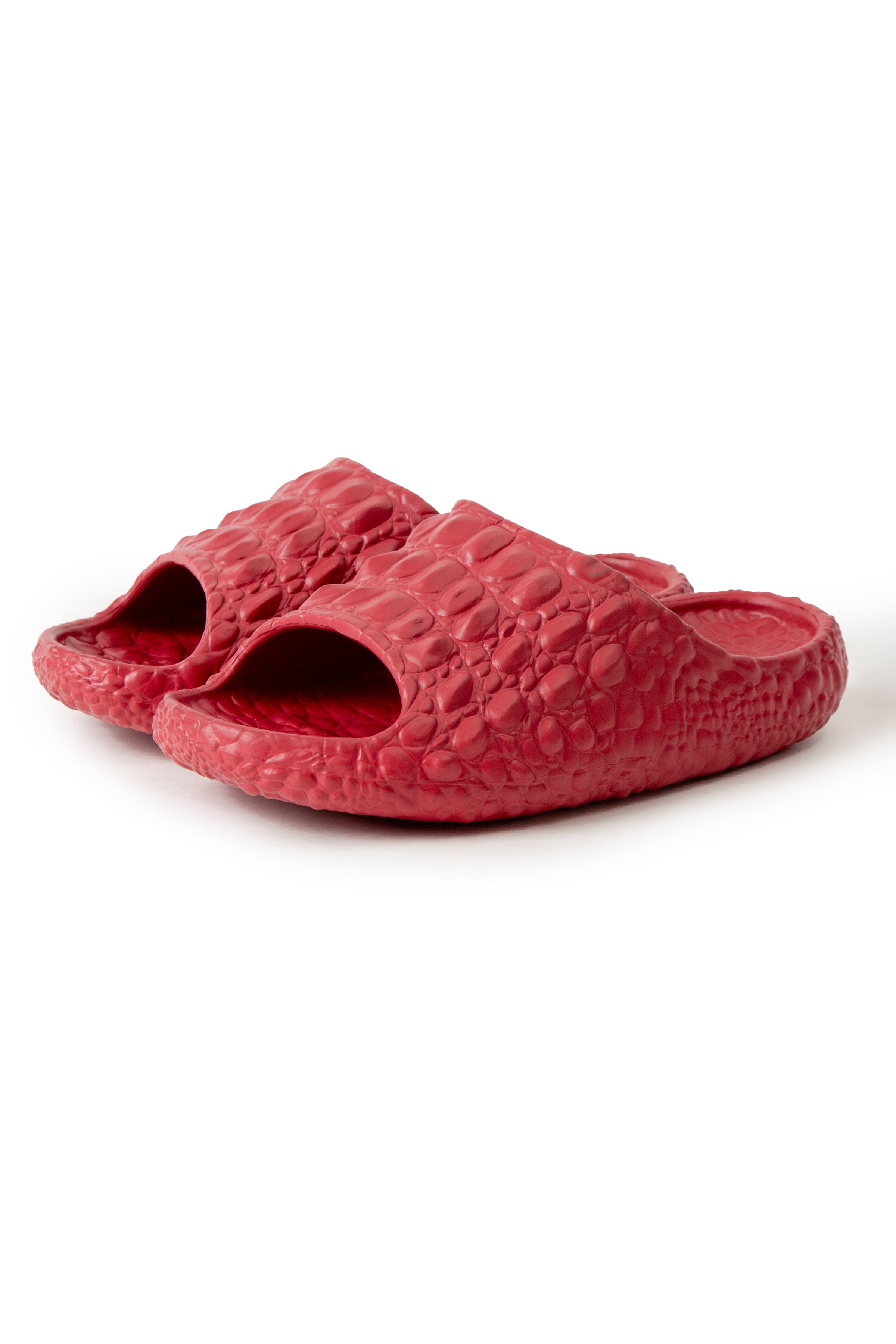 WOMEN'S SOLID COLOR SLIDES - 6 pr pack