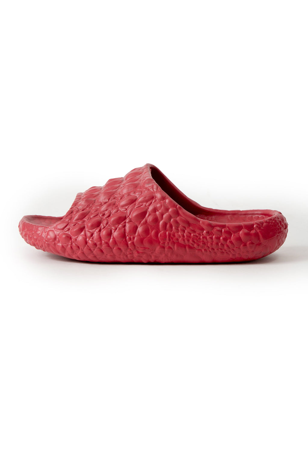 WOMEN'S SOLID COLOR SLIDES - 6 pr pack