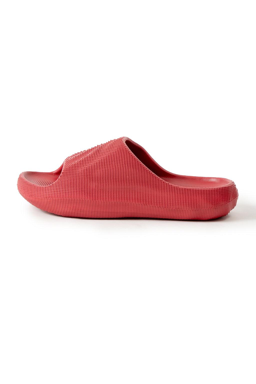 WOMEN'S SOLID COLOR SLIDES - 6 pr pack